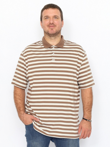 CWLM 60375-31 Рубашка-поло мужская,бежевый