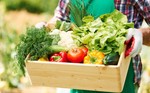 Как вырастить богатый и вкусный урожай? Рассказываем!