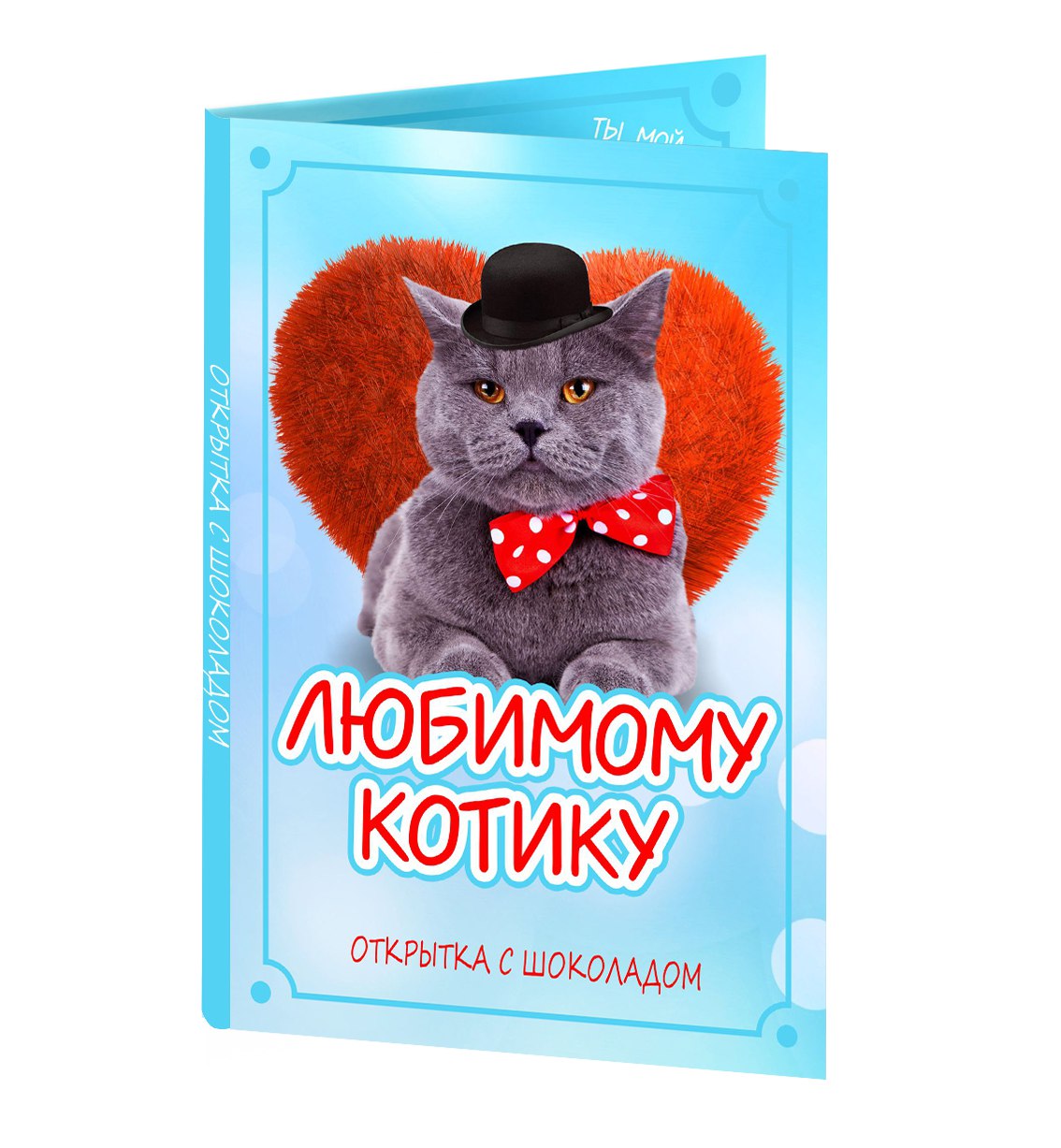Делать, открытки котик мой любимый