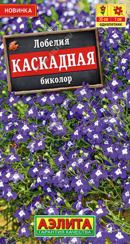 Лобелия каскадная биколор