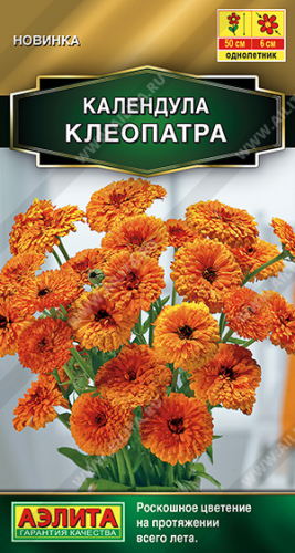 Календула Клеопатра