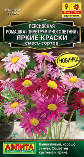 Персидская ромашка Яркие краски, смесь сортов