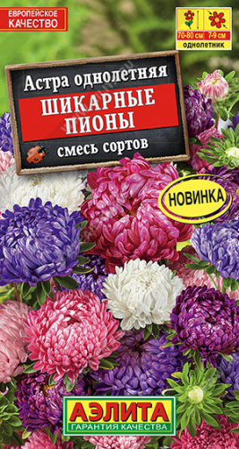 Астра Шикарные пионы, смесь сортов