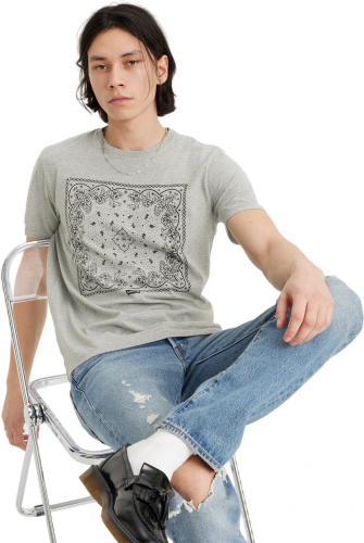 Футболка мужская Levi's® GRAPHIC CREWNECK TEE GREYS, LEVIS