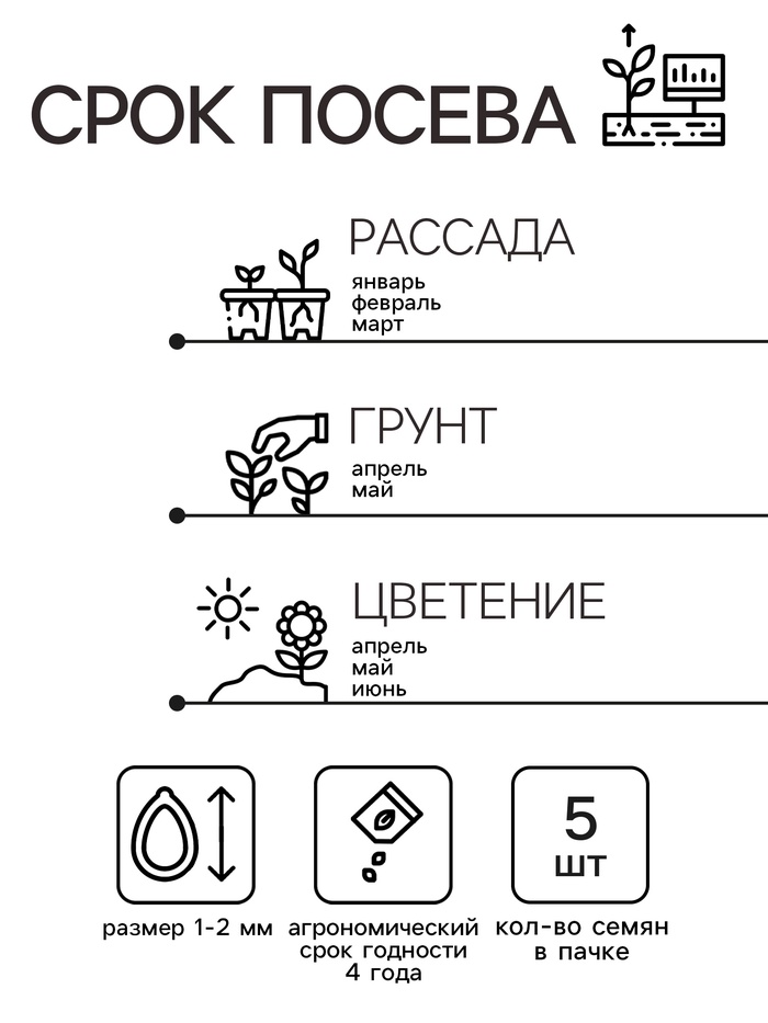 Семена Примула
