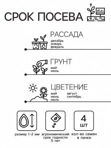 Семена Пеларгония 