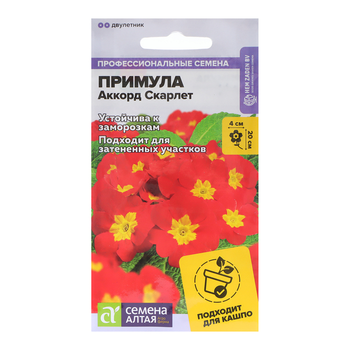 Семена цветов Примула