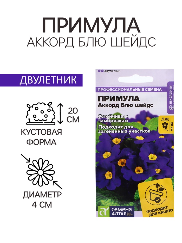 Семена Примула