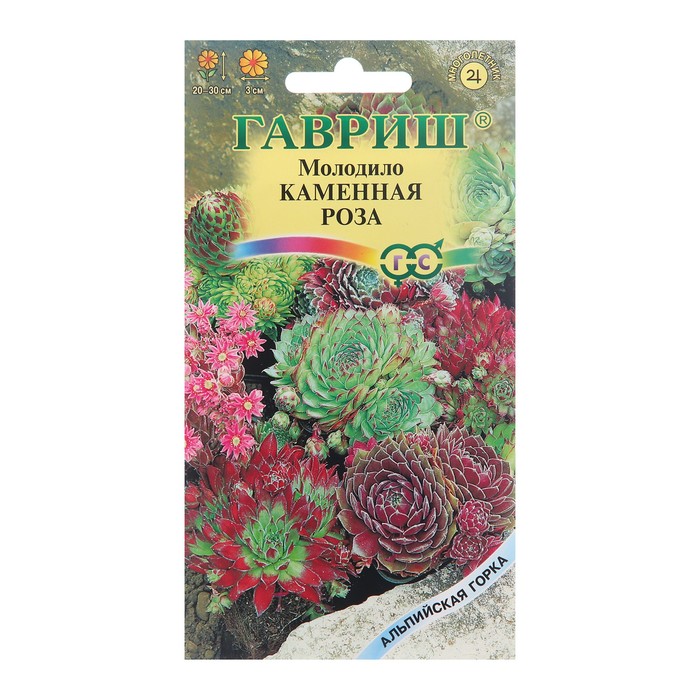 Семена цветов Молодило