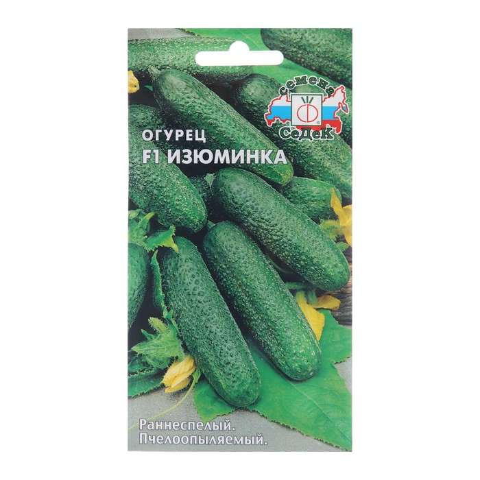 Семена Огурец
