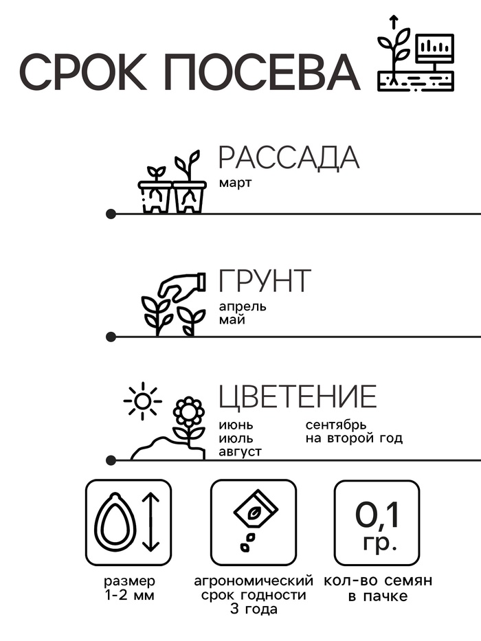 Семена цветов Нивяник