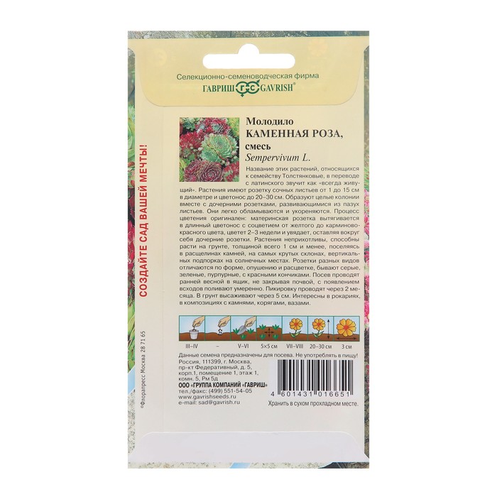 Семена цветов Молодило