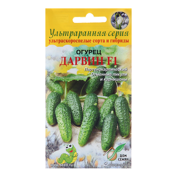 Семена Огурец