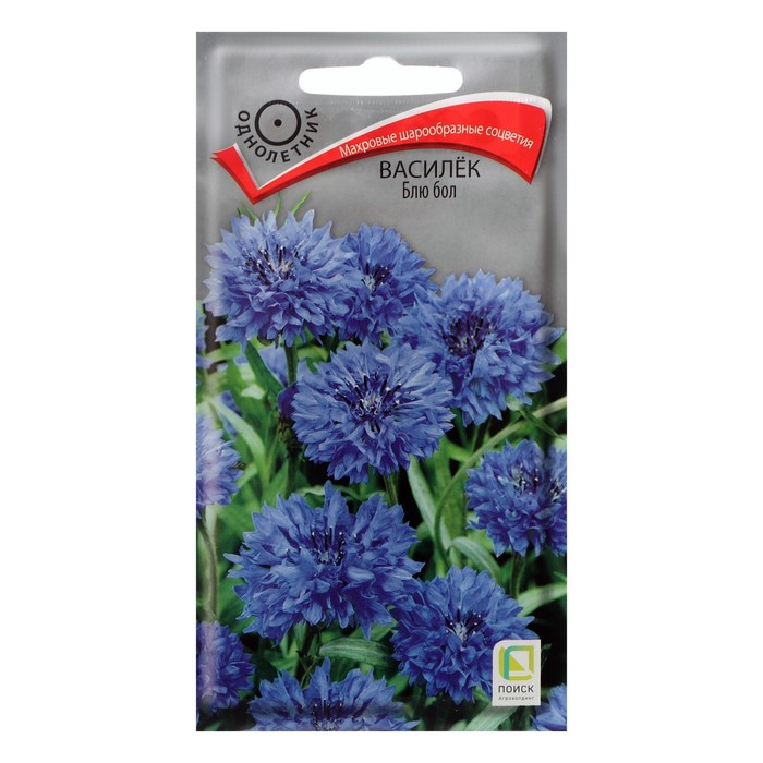 Семена цветов Василек