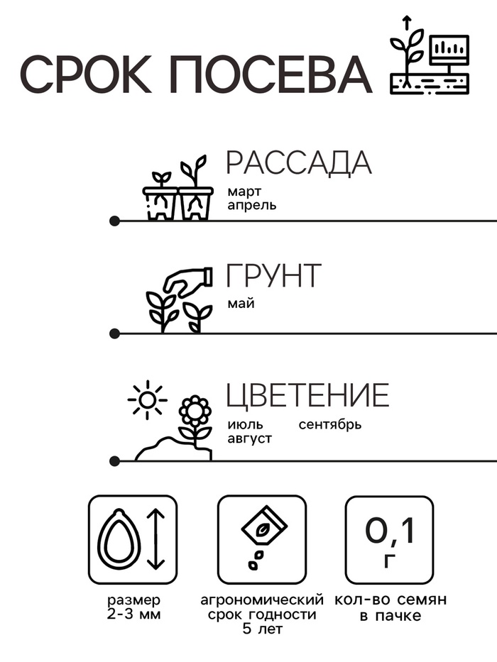 Семена котовник «Сонник», 0.1 г