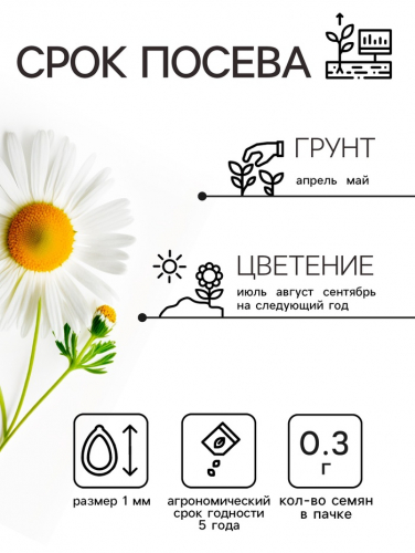 Семена цветов Ромашки 