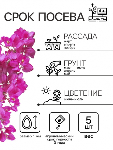 Семена Антигонон 
