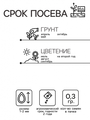 Семена Цветов Нивяник 