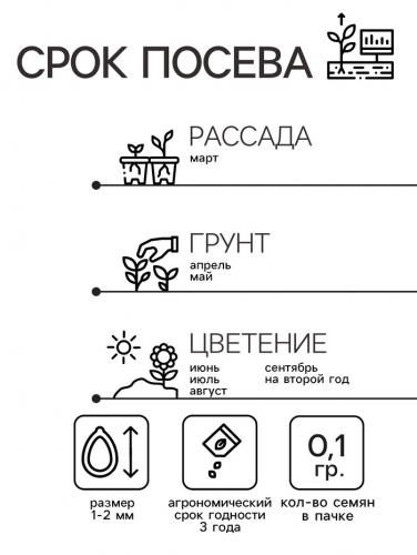 Семена цветов Нивяник 
