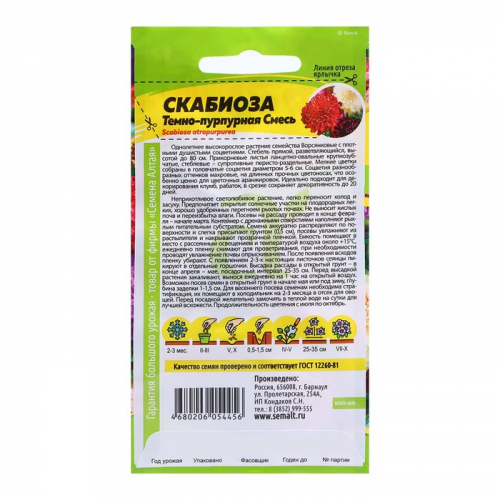 Семена Скабиоза 