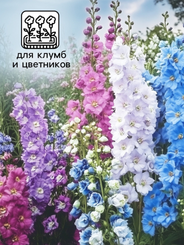 Семена цветов Дельфиниум 