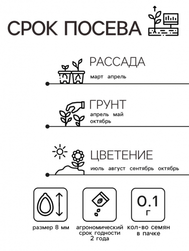 Семена Астра 