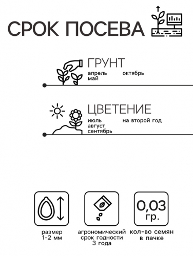 Семена цветов Нивяник 
