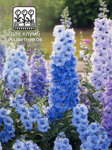 Семена цветов Дельфиниум 