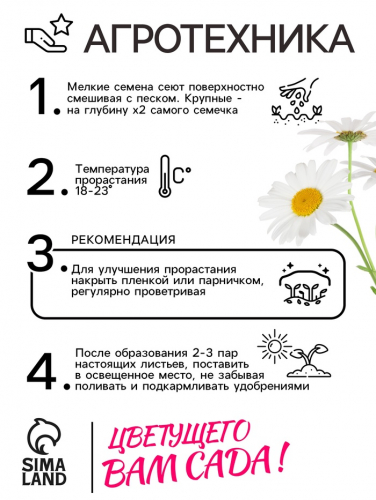 Семена цветов Ромашки 
