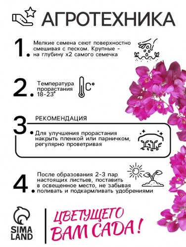 Семена Антигонон 