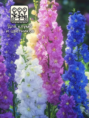 Семена цветов Дельфиниум 
