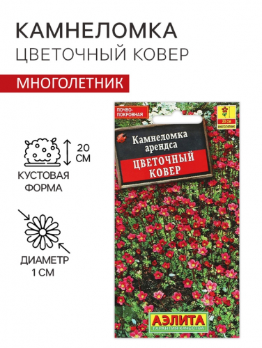 Семена цветов Камнеломка 