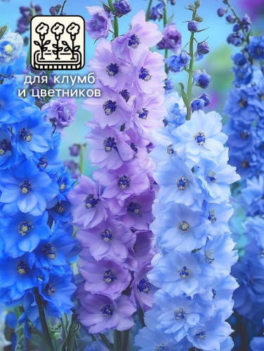 Семена цветов Дельфиниум 