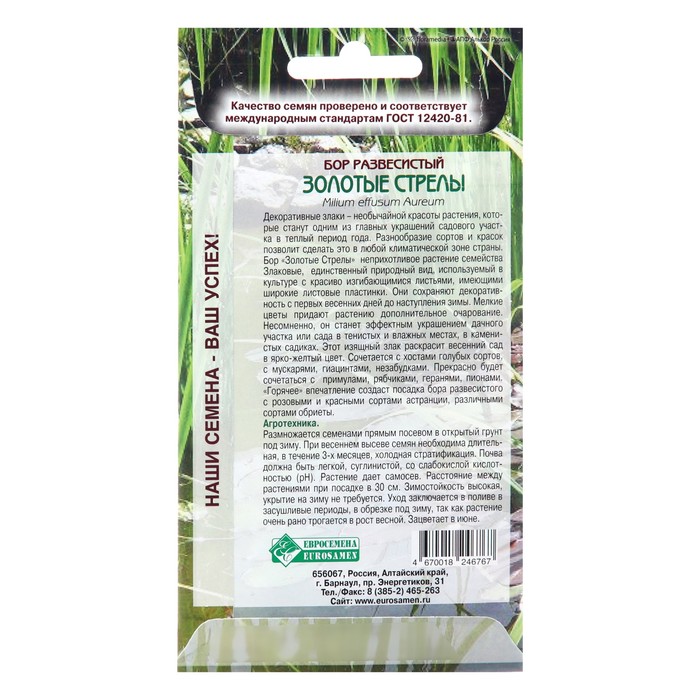 Семена цветов бор развесистый «Золотые Стрелы», 5 шт.