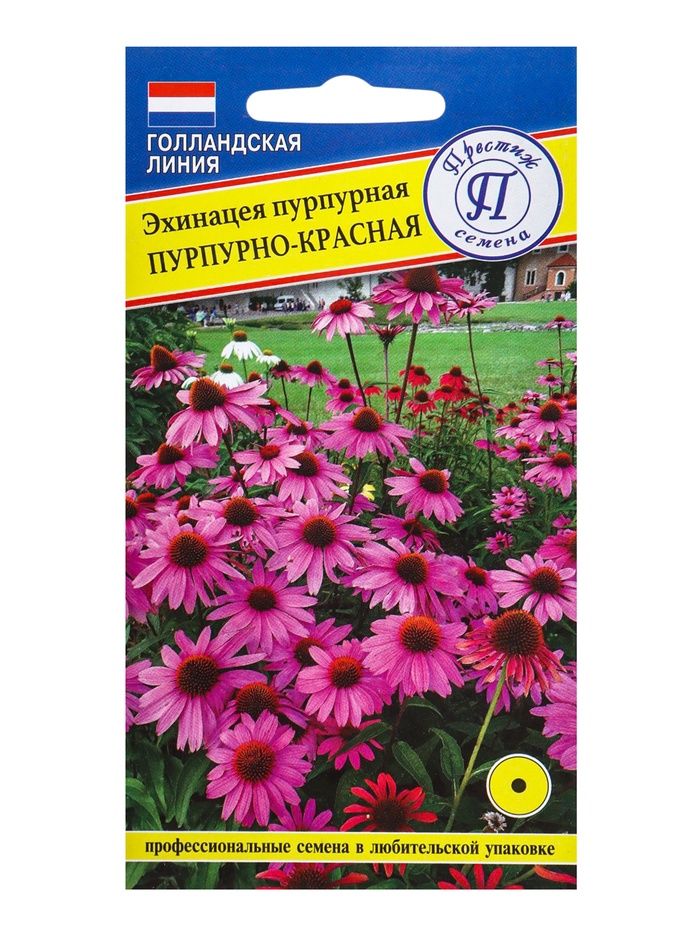 Семена цветов Эхинацея