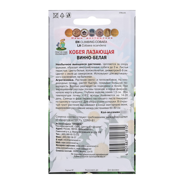 Семена цветов Кобея лазающая