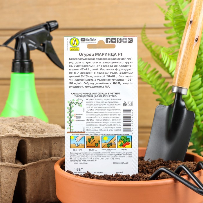 Семена Огурец