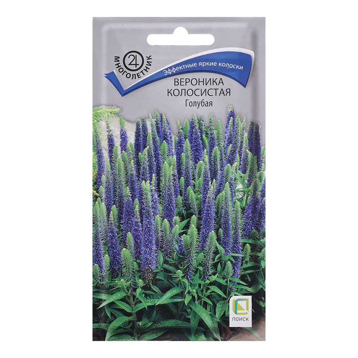 Семена цветов Вероника колосистая