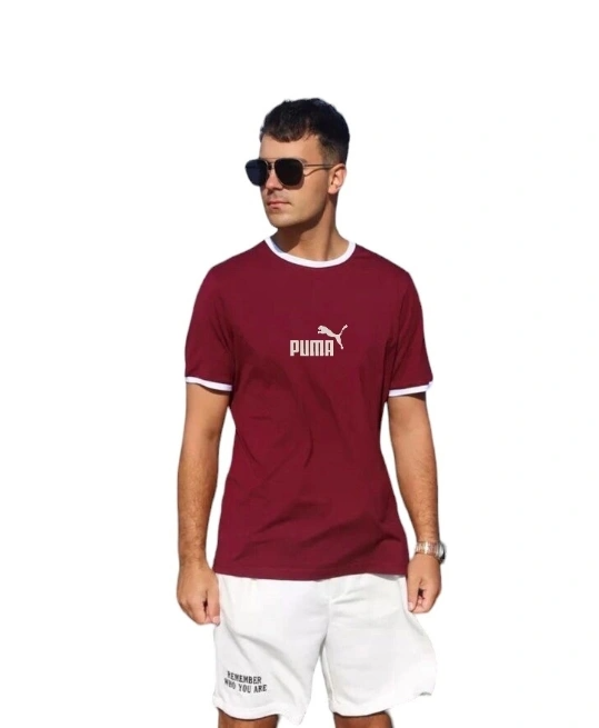 Футболка мужская 40315