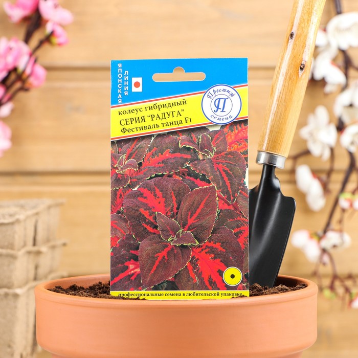 Семена цветов Колеус