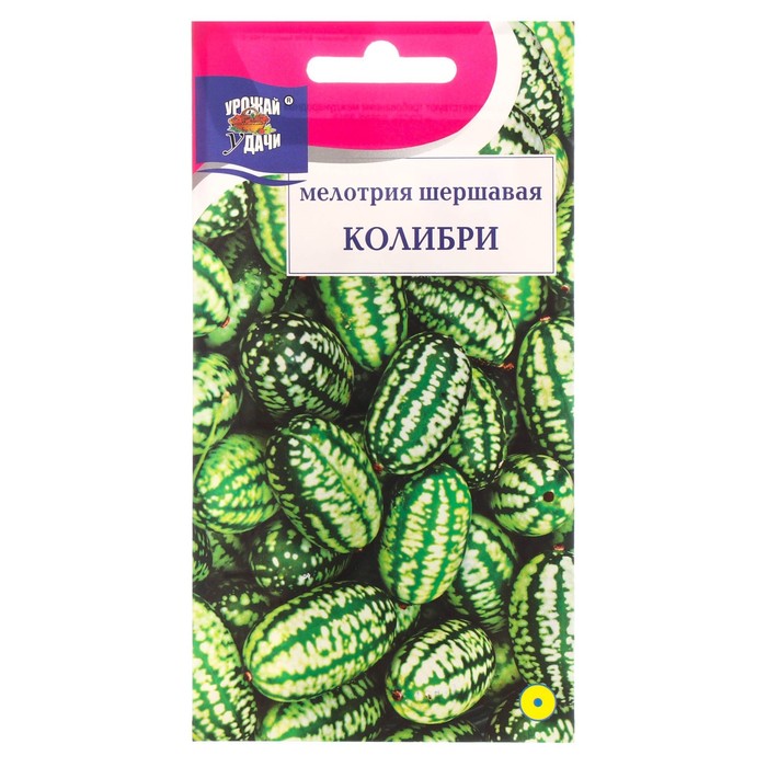 Семена Мелотрия шершавая