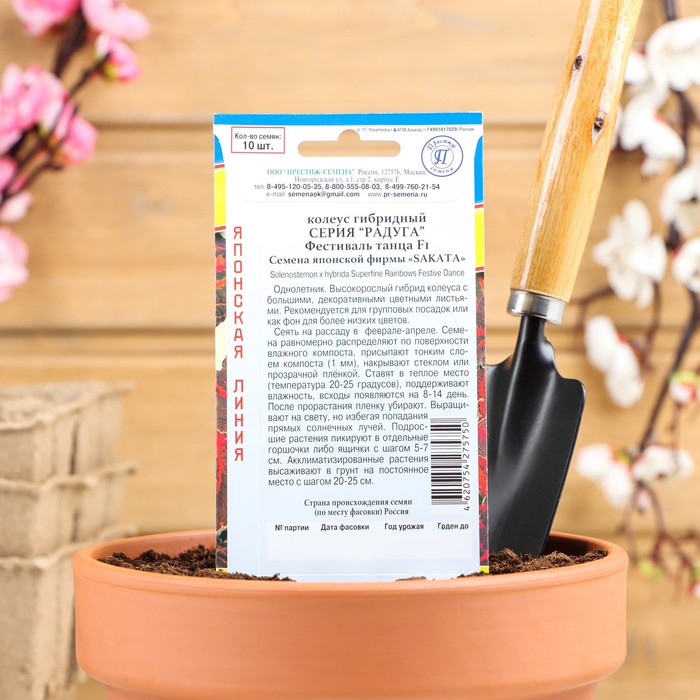 Семена цветов Колеус