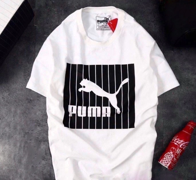 Футболка мужская 28984