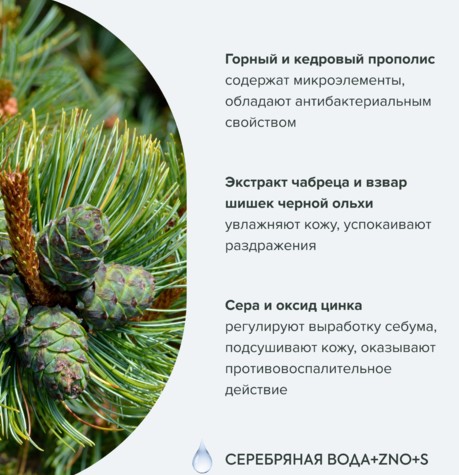 РБА / Аптечка Агафьи / Прополисный точечный гель для лица для проблемной кожи, 30 мл