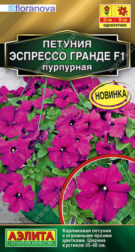 Петуния Эспрессо Гранде F1 крупноцветковая пурпурная