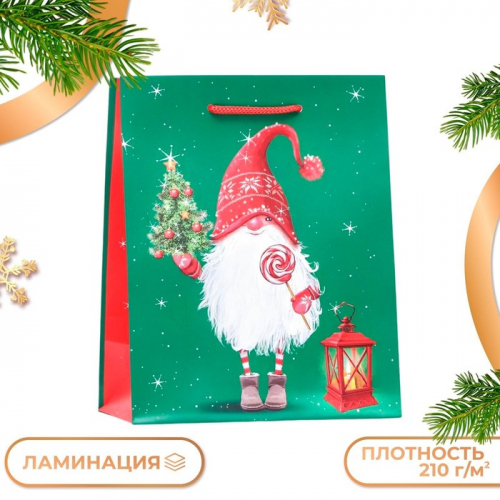 Пакет подарочный 