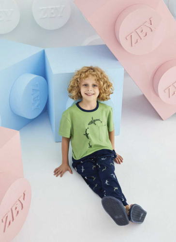 Комплект для мальчика ZEYZEY kids