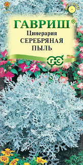 Цветы Цинерария приморская Серебряная пыль 0,05 г ц/п Гавриш (однол.)