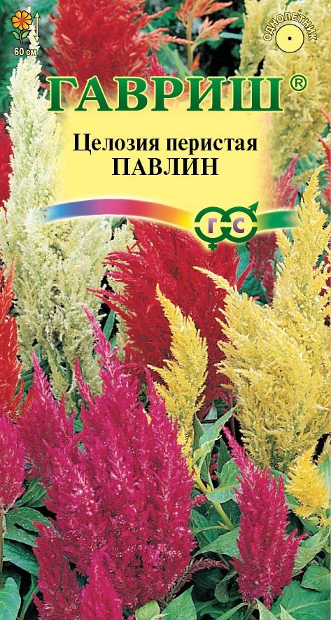Цветы Целозия Павлин перистая 0,05 г ц/п Гавриш (однол.)