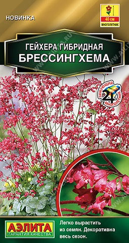 Цветы Гейхера Брессингхема 0,05 г ц/п Аэлита (мног.)